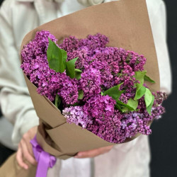11 веток сиреневой сирени